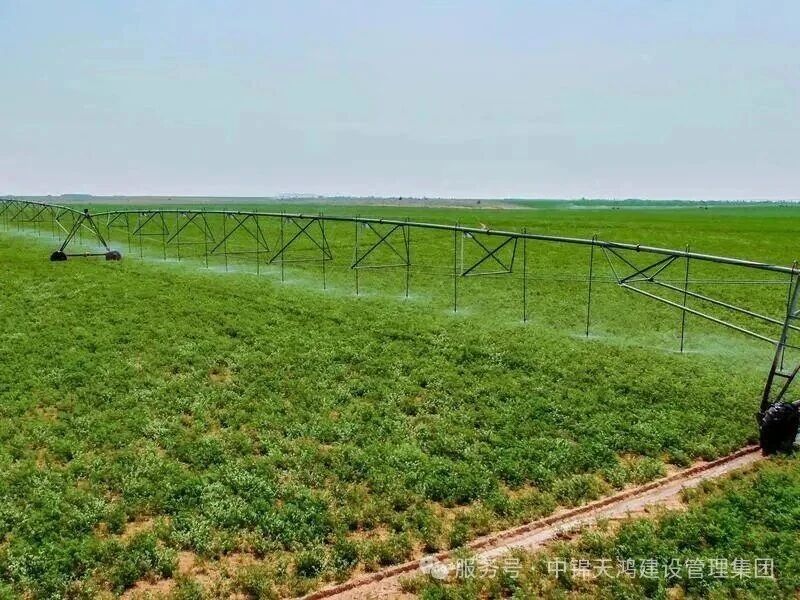 1766993981402226.jpg 微信图片_2025-12-29_153926_325.jpg